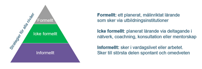 strategiskt lärande bild